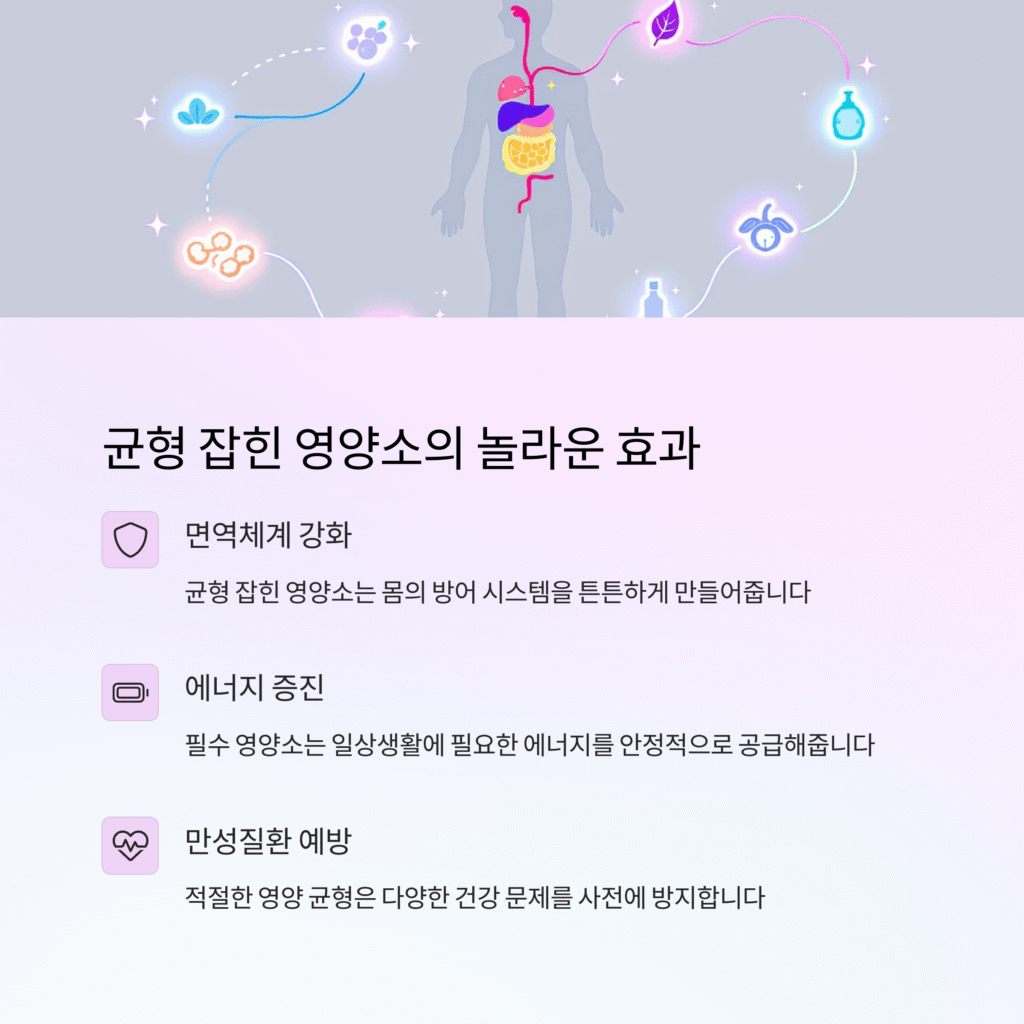 균형 잡힌 영양소의 놀라운 효과
