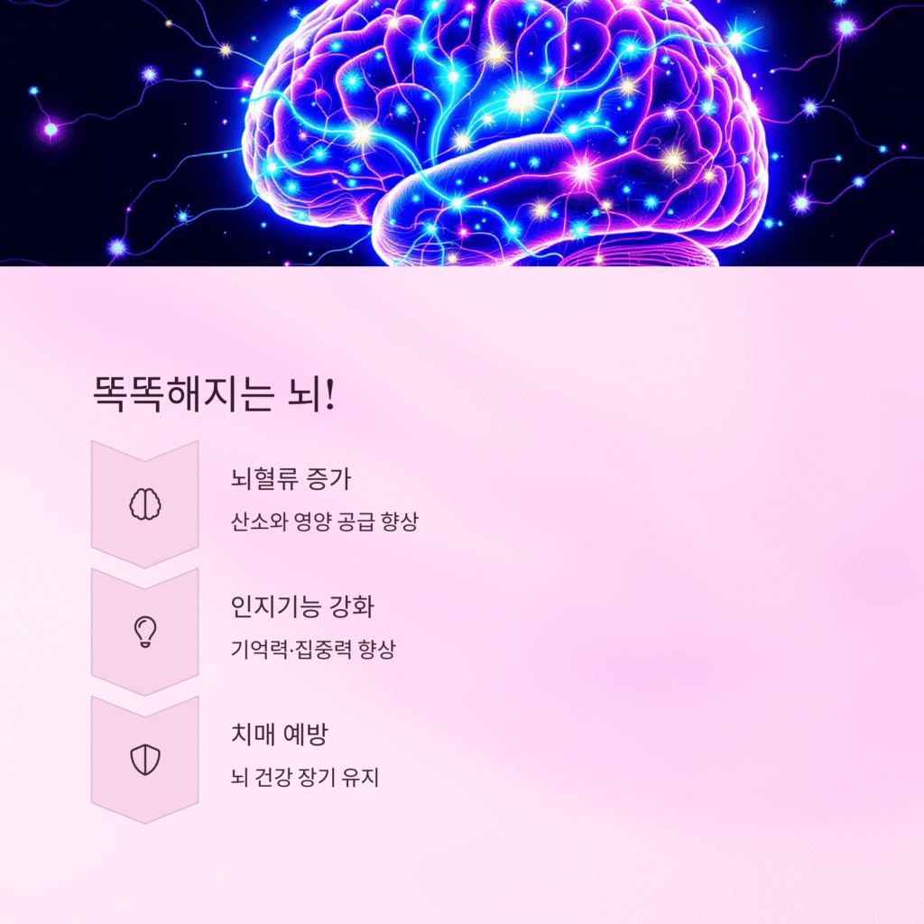 똑똑해지는 뇌!