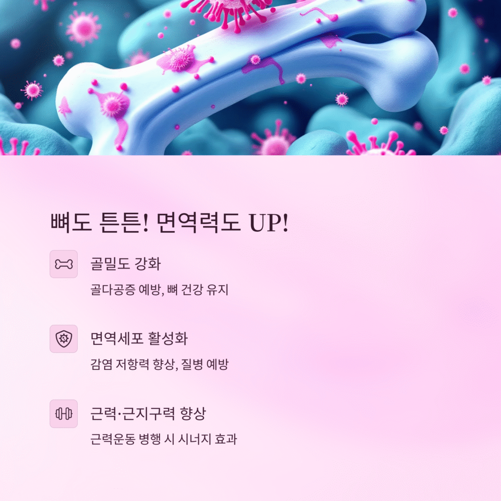 뼈도 튼튼! 면역력도 UP!